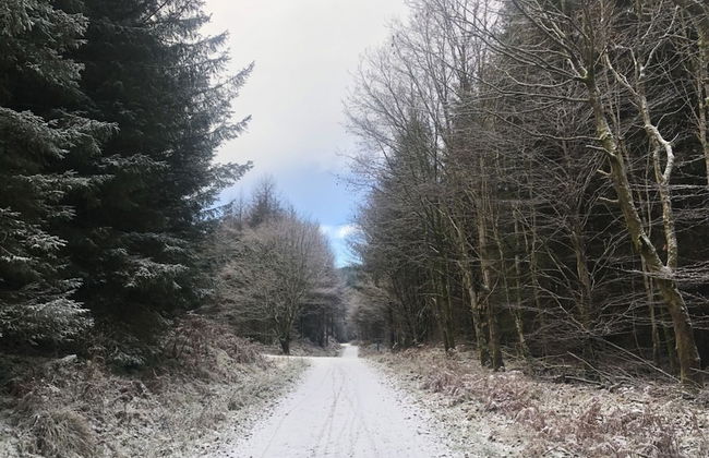 Clouded Yellow - Beautiful Modern Lodge, Kippford - Photo 31