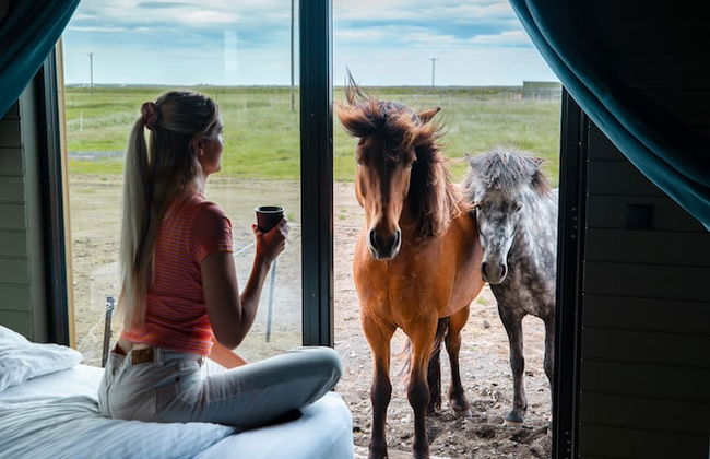 Sleeping with the Horses - Foto 9