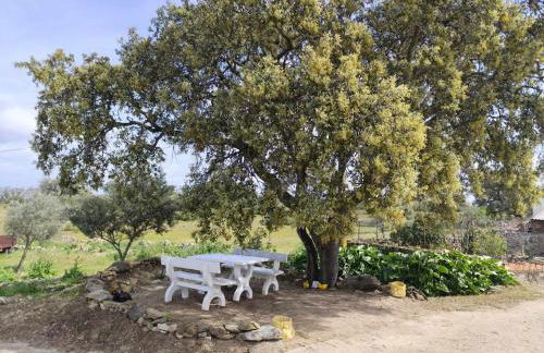 Blue&YellowHouse - Foto 10