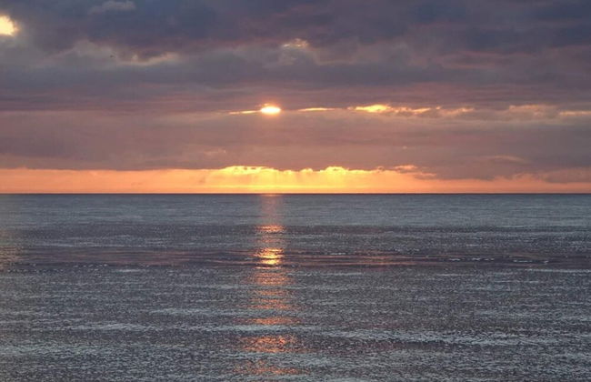 4 Person Holiday Home in Graested - Foto 50