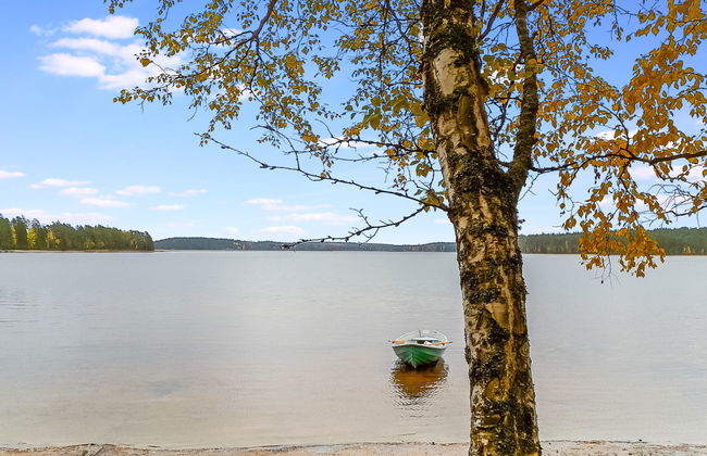 Kesäniitty - Foto 2