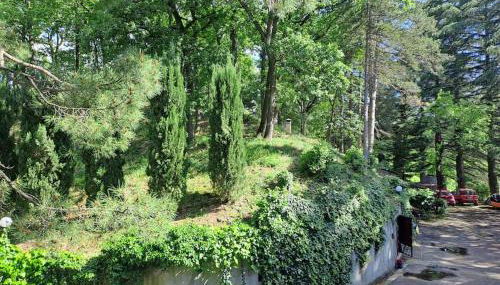 LA BARCA NEL FRUTTETO Natura e relax in collina - Foto 5, Garden