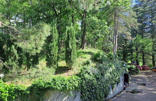 LA BARCA NEL FRUTTETO Natura e relax in collina - Foto 5