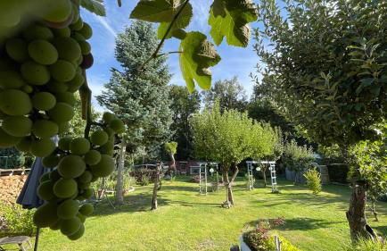 Spreewald Haus Boche - Foto 22