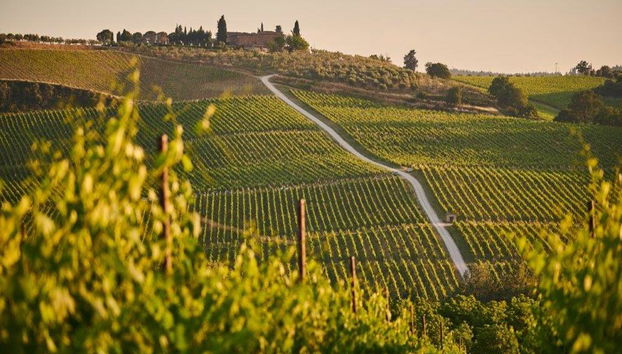 Cata de vinos en La Rioja con visita guiada a Haro - Tour de día completo - Foto 2