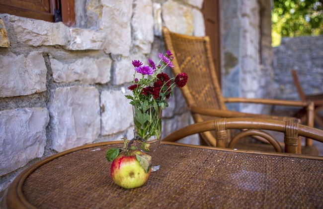 Vucje Brdo in Kolasin - Foto 60