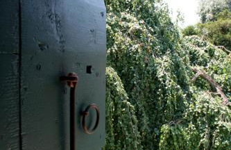 Agriturismo Barchessa - Foto 27