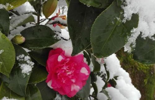 Gîte tout confort avec jardin près du Château de Chambord, idéal pour familles et amis - FR-1-491-372 - Foto 19