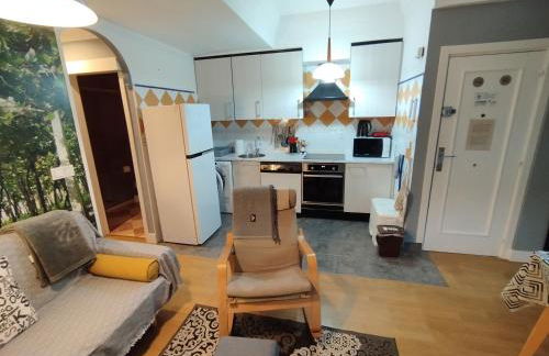 OFERTA ESPECIAL ÚLTIMA HORA - SARAKATUA15 - vistas espectaculares - familias y parejas - 2 dormitorios independientes - amplio salón cocina comedor - tarjeta parking OTA GRATIS - Julio y agosto estancia mínima 7 noches de domingo a domingo - - Foto 12