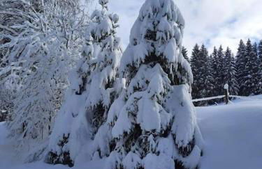 Helle gemütliche Ferienwohnung in Schwarzwaldhof - Foto 21