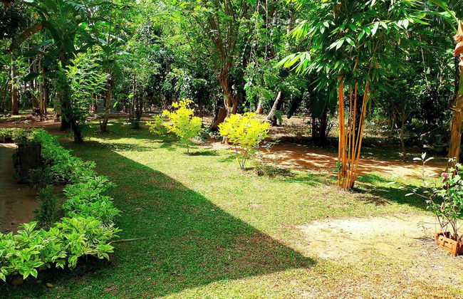 Milk House Cottage Udawalawe - Foto 25