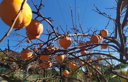 Apartment Vanda - Foto 33