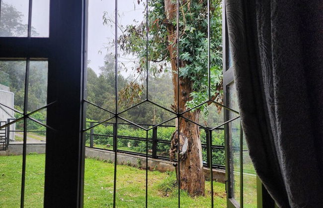 Songs of the Nilgiris - Foto 41