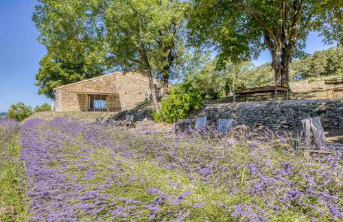 Stone House In Lavender Fields Near Grignan - Foto 11