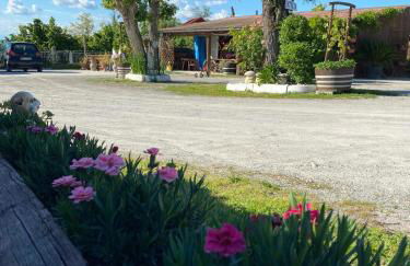 Agriturismo La Ruota - Foto 10