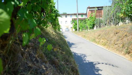 Agriturismo Corte Stefani - Foto 2