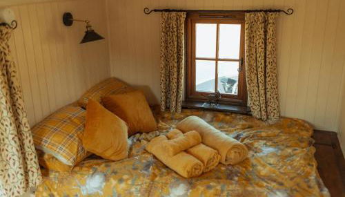 Glamping in Wiltshire in our luxury Shepherds Hut - Foto 5