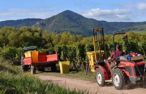 Gîte Jeanne familial - calme - parking - Foto 44