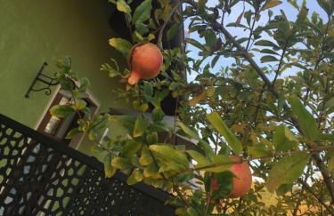 Agriturismo da Mamma - Foto 54