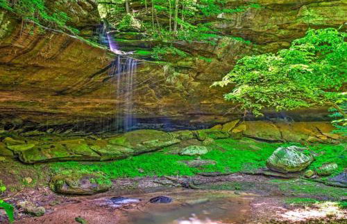 Mammoth Cave Cabin Rentals 4 - Foto 16