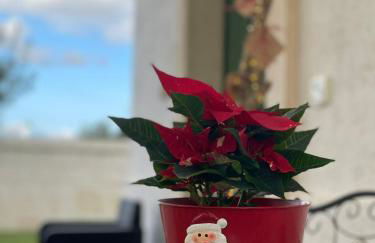 PaolOttaviA - Foto 50