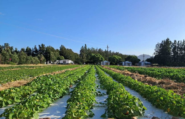 Vindoux Guest Farm and Day Spa - Photo 70