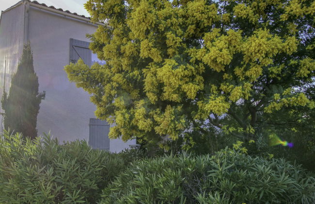 Terre Marine - Foto 16