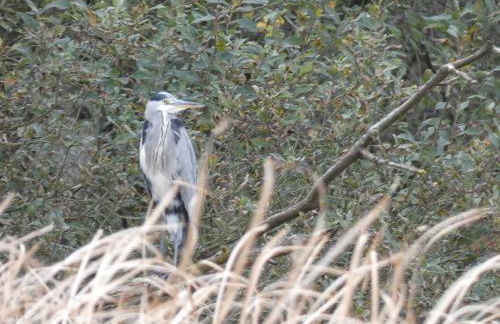 FeWo mit Balkon, Zimmermann - Foto 52