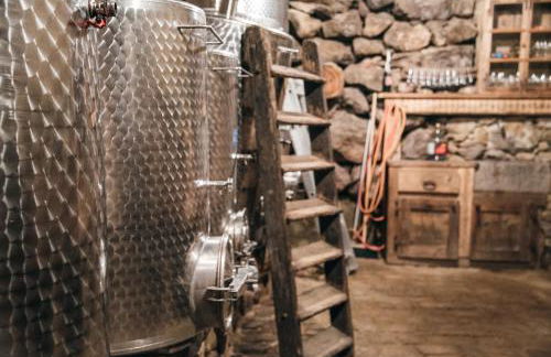 Huber unterm Baum - Foto 14