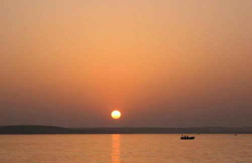 Apartments Jela - Foto 77