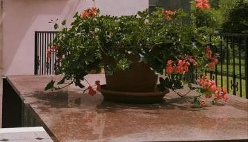 CASA SILVANA - Foto 2