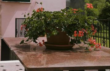 CASA SILVANA - Foto 2