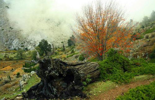 Casa Pepe La Rosa Atico - Foto 41
