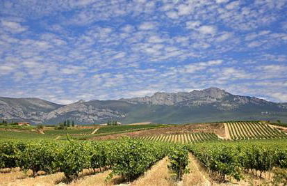 La Barbacana - Foto 52