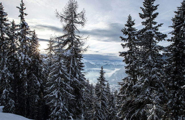 Chalet in Riddes Near Ski Lift Les 4 Vallees - Foto 34