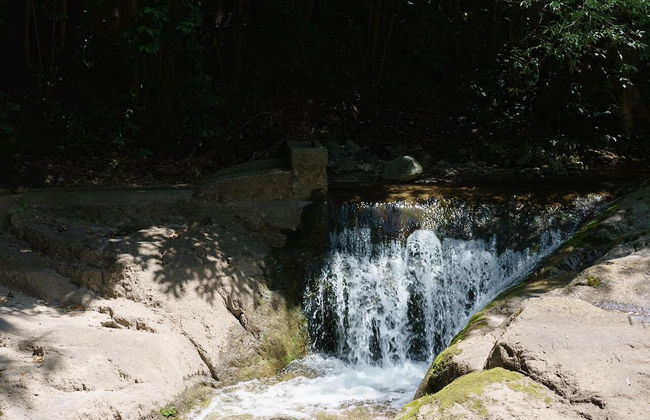 Estancia Grande - Foto 45