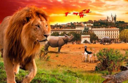 Spa-Sauna-Ciel de pluie tropicale-Champagne Nuit Romantique - Escapade Mâconnaise - Foto 70