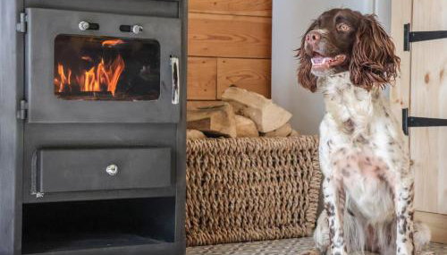 Beech Tree Cabin - Foto 4