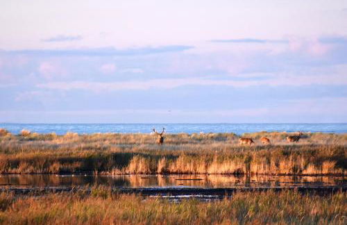 Haus an der Tanne - Foto 58