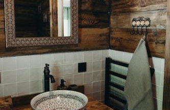 Mech i brzoza - Foto 42