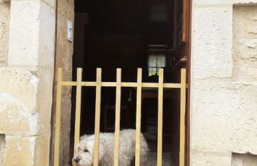 Gite au cœur du village du Périgord noir - Foto 10