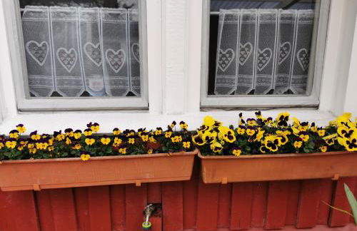 Finnenhaus - Foto 17