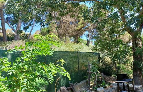 Entre mer et garrigue - Foto 23