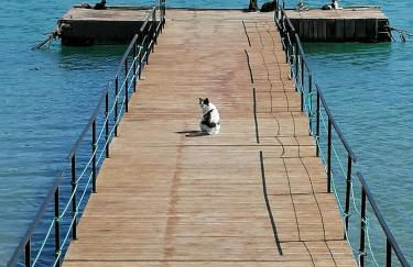 Apartamento Riomar - Photo 18