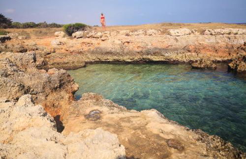 Agriturismo Salinola - Foto 102