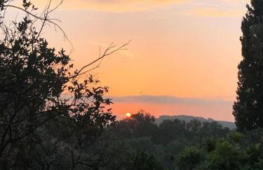 BugenVilla - South Corfu house - Foto 51