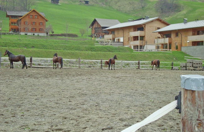 Vibrant Apartment near Ski Slopes in Brand - Foto 26