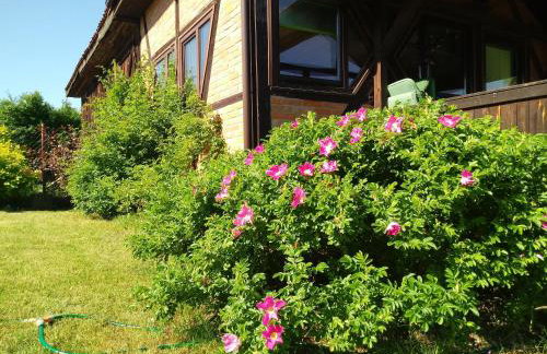 Natura Apartamenty - Foto 34