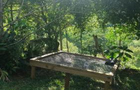 Espaço Isha Canelinha - Foto 45