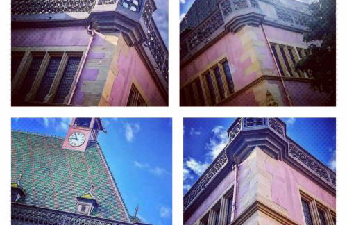 GITE LA HOUBLONNIÈRE STANDING et CONFORT à COLMAR - Foto 15